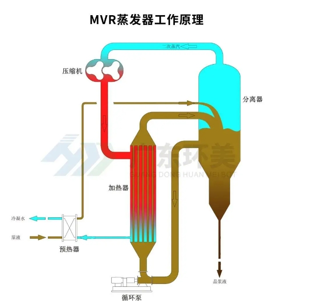 MVR蒸發器 MVR蒸發器