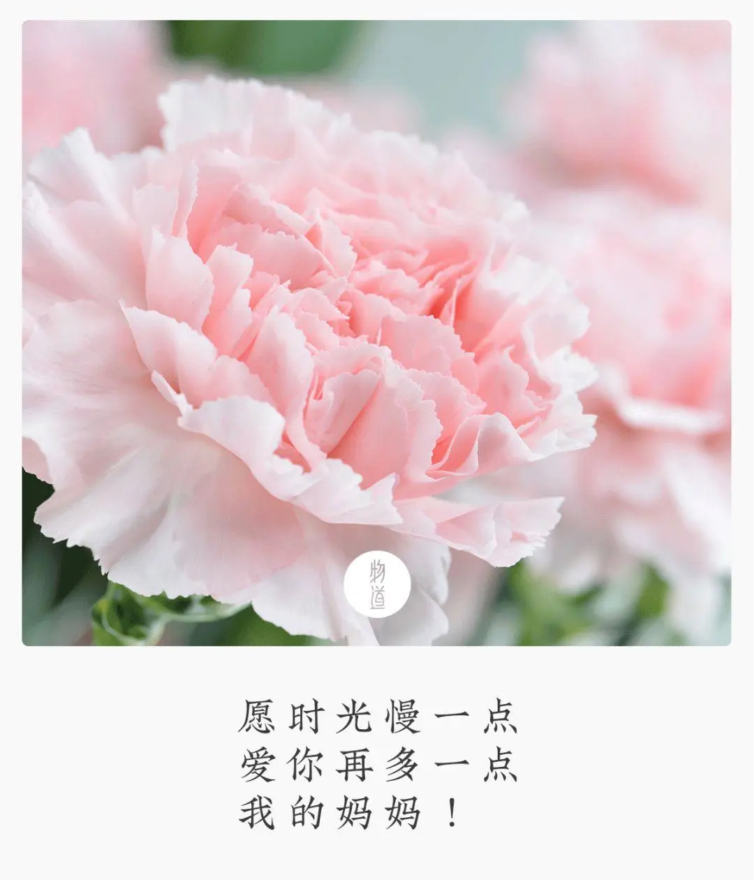 MVR蒸發系統 MVR蒸發系統