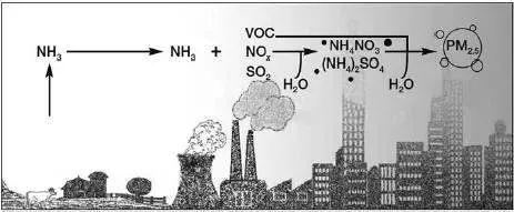 MVR蒸發系統 MVR蒸發系統