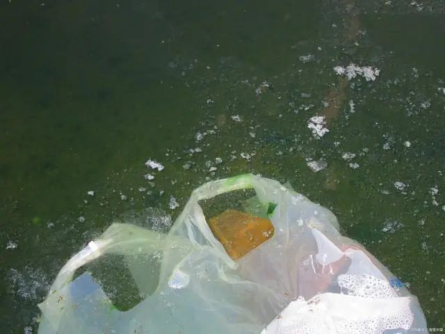 mvr蒸發(fā)器 mvr蒸發(fā)器